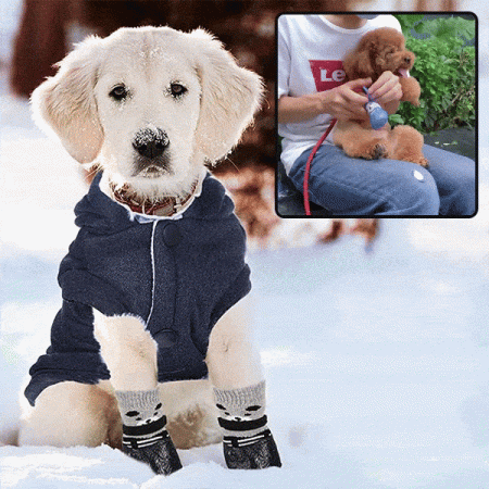 Водоустойчиви чорапи PawGuard